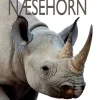 Næsehorn
