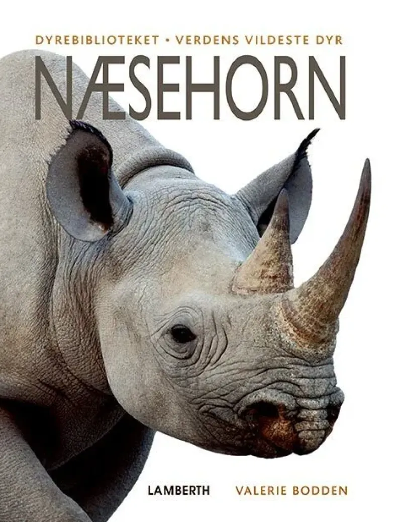 Næsehorn