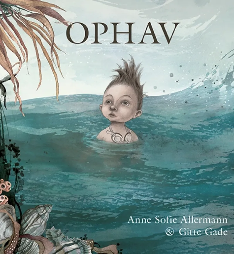 Ophav