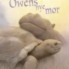 Owens nye mor