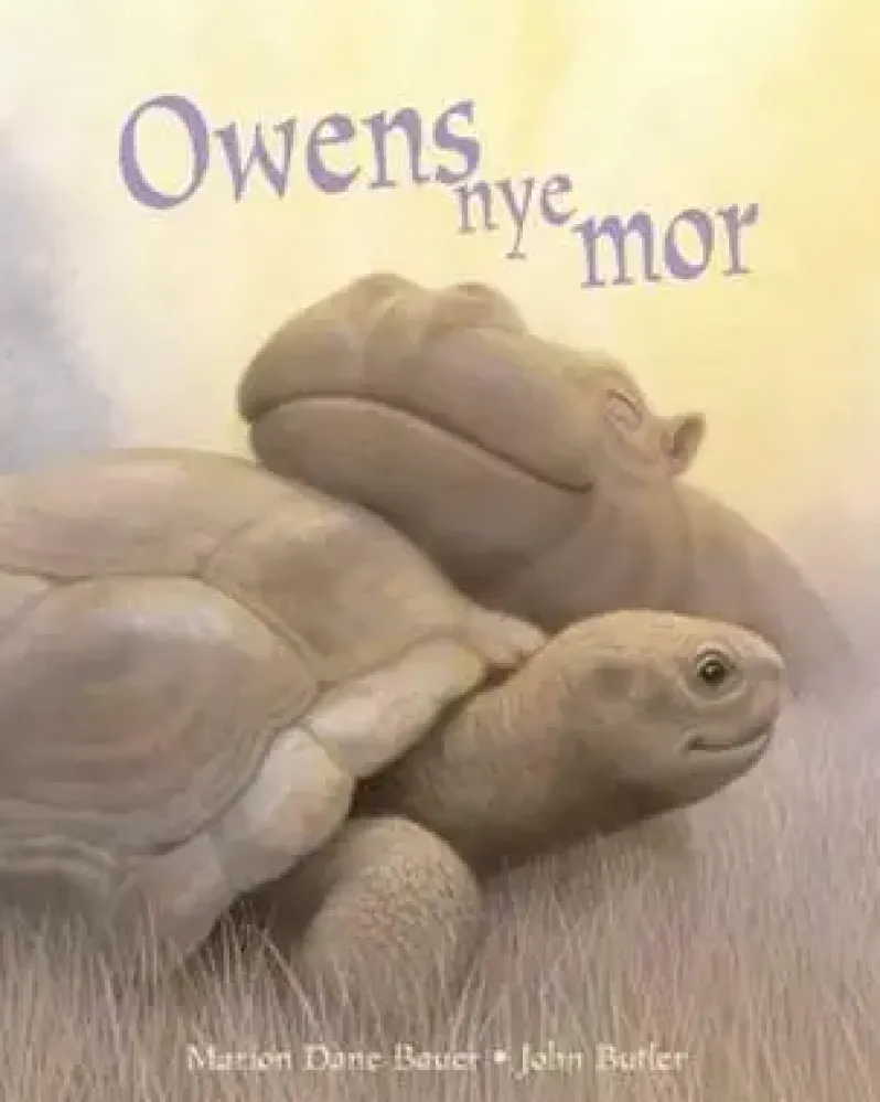 Owens nye mor