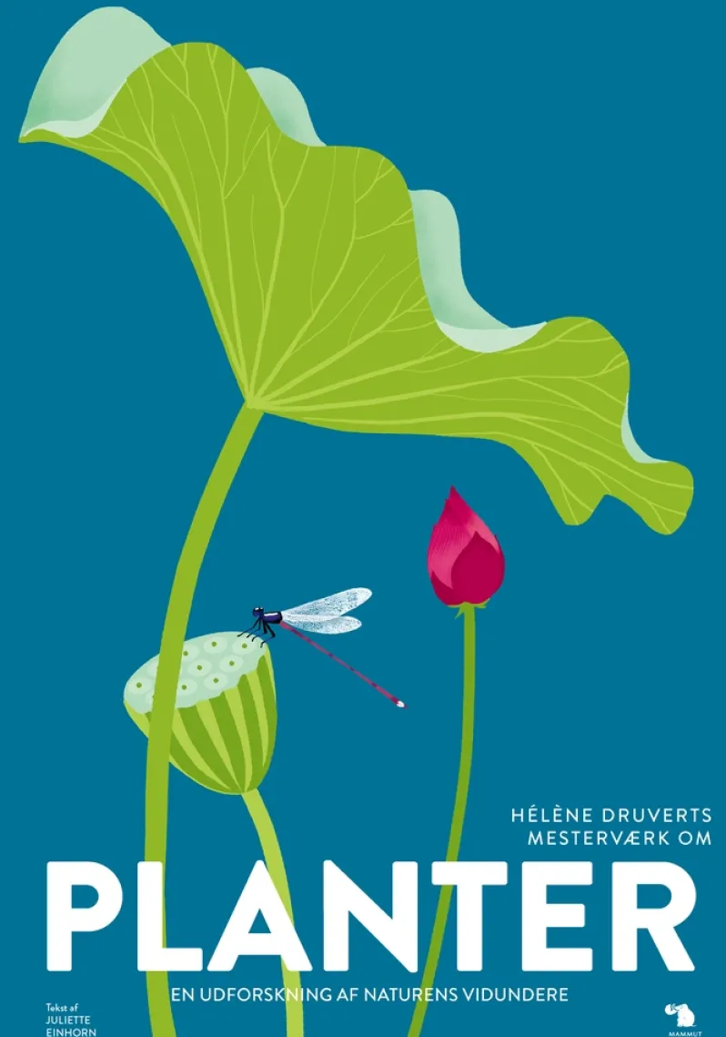 Planter