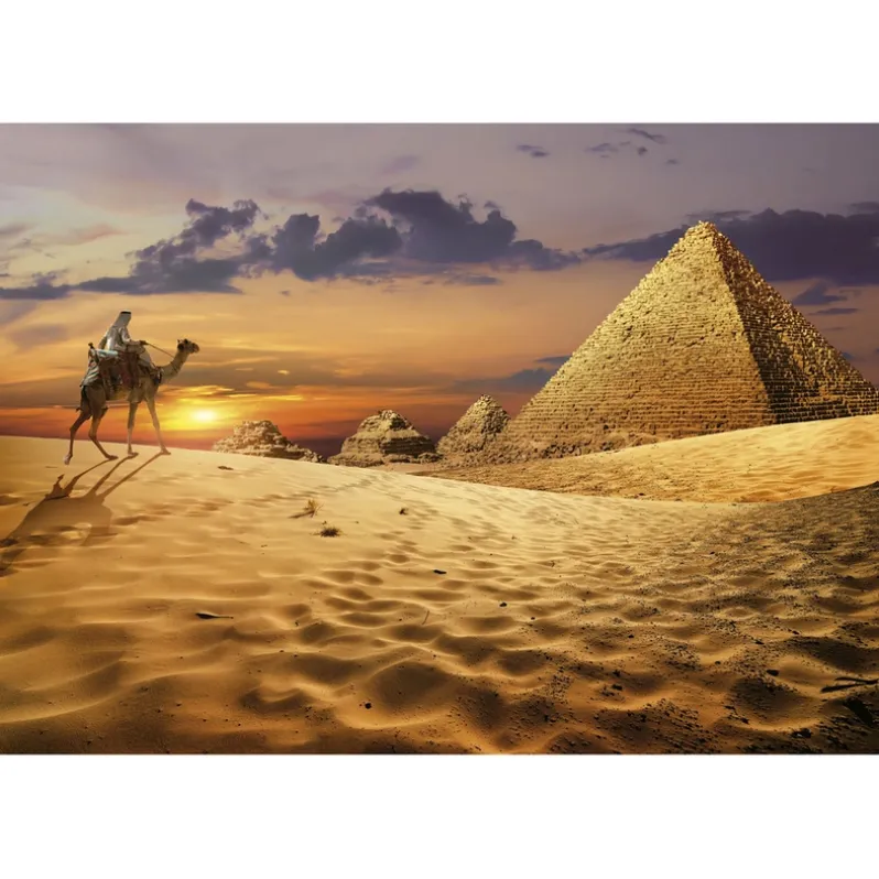 Puslespil Camel in The Desert 1000 brikker