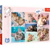 Puslespil In the cat world 100 brikker