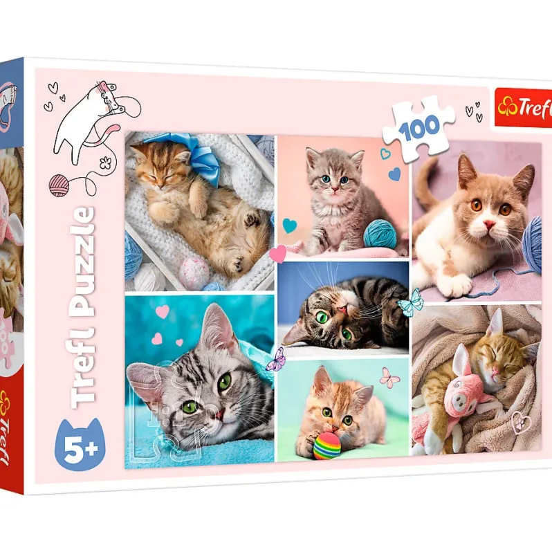 Puslespil In the cat world 100 brikker