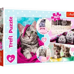 Puslespil Lovely kittens 160 brikker