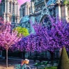 Puslespil Notre Dame Cathedral of Paris 1000 brikker