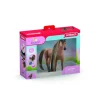 Schleich BH Akhal-tekiner-hingst