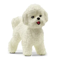 Schleich Bichon Frisé