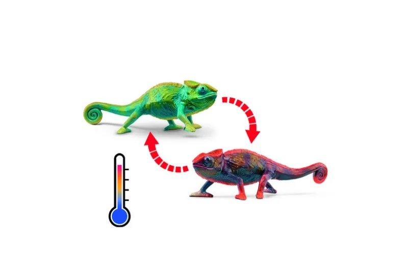 Schleich Kamelæon
