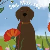 Søg, Max, søg
