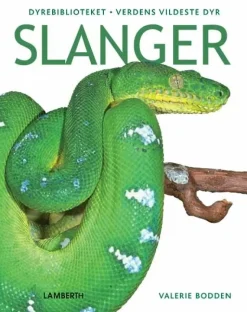 Slanger
