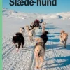 Slædehund, Grøn Fagklub