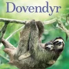 Små fakta: Dovendyr