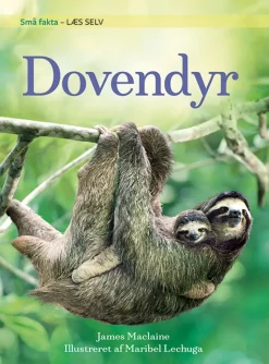Små fakta: Dovendyr