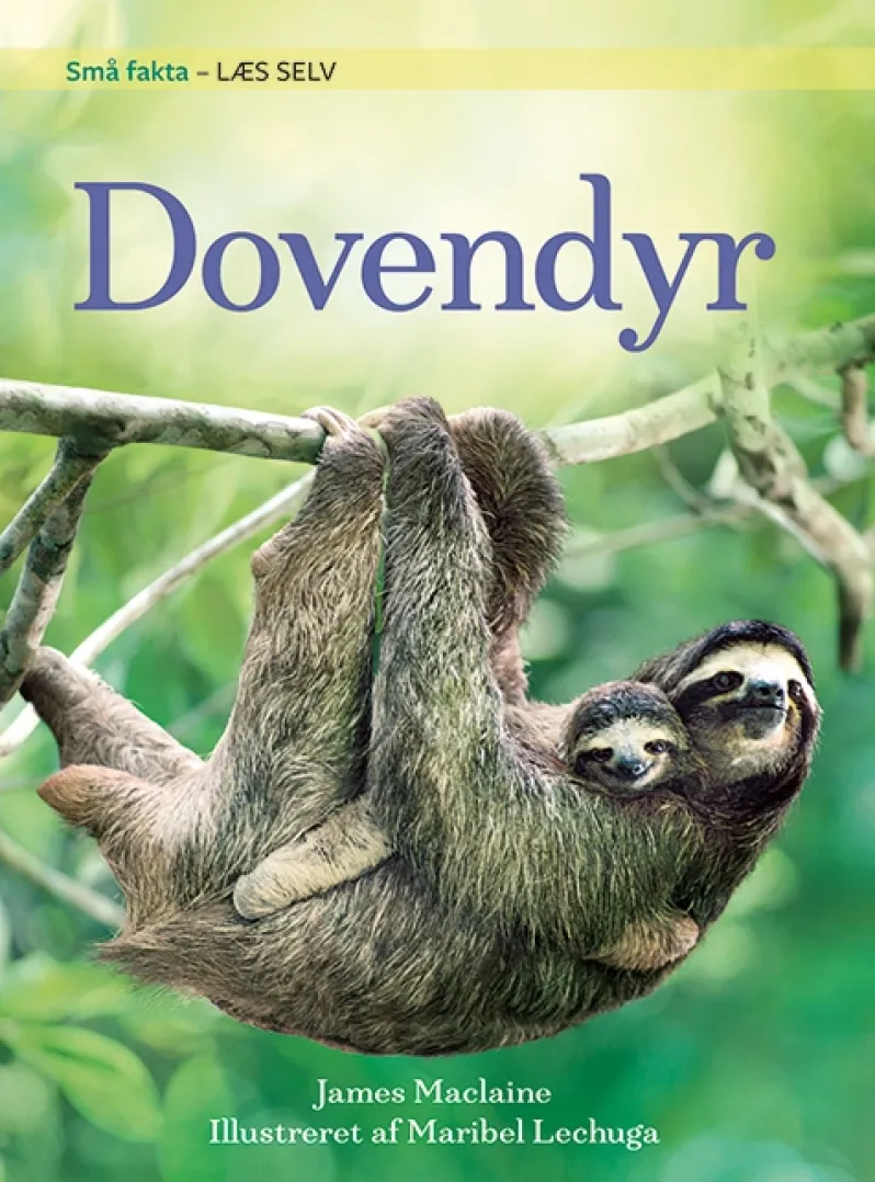 Små fakta: Dovendyr