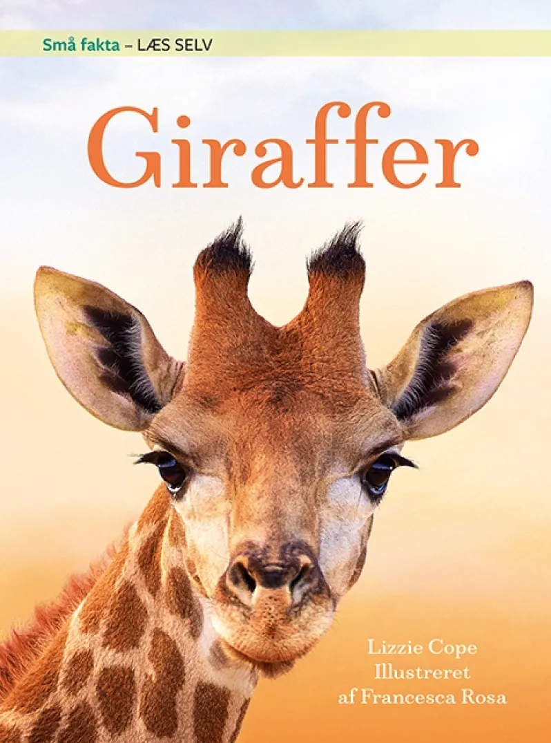 Små fakta: Giraffer