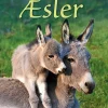 Små Fakta: Æsler