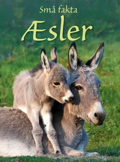 Små Fakta: Æsler