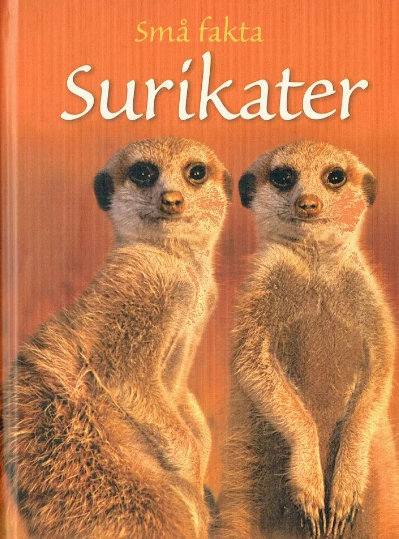 Små fakta: Surikater