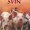 Små fakta: Svin