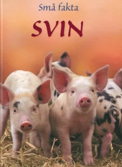 Små fakta: Svin
