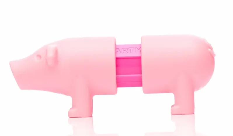 SmartMax: My First Farm Animals