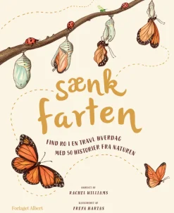 Sænk farten