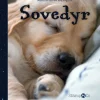 Sovedyr