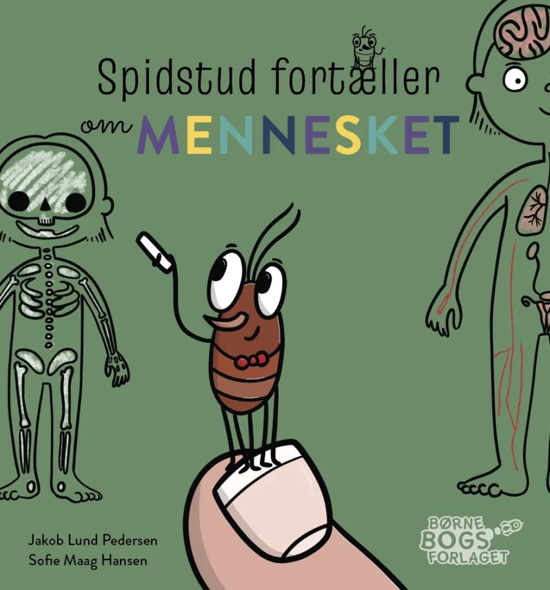 Spidstud fortæller om mennesket