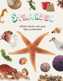 Stranden