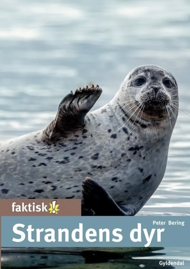Strandens dyr