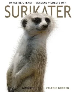 Surikater