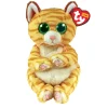 TY Mango cat beanie bellies