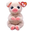 TY Penelope pig beanie bellies
