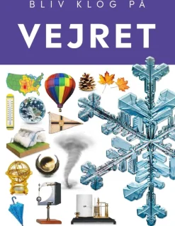 Vejret
