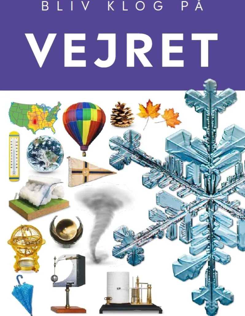 Vejret