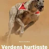 Verdens hurtigste, Blå Fagklub