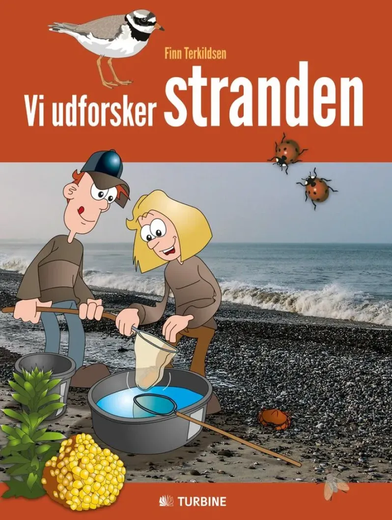 Vi udforsker stranden